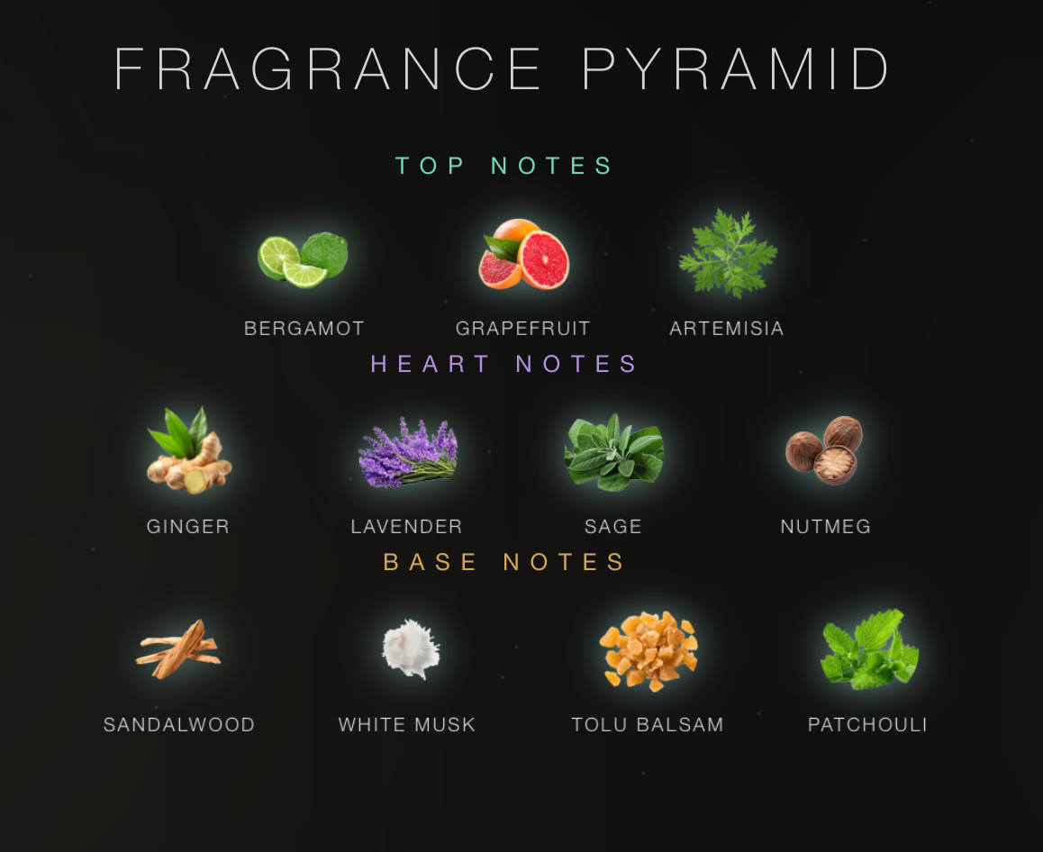 Pour Homme – 100ml EDP | Yusuf Bhai Fragrances